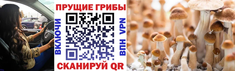 Купить  Еманжелинск  Псилоцибиновые грибы прущие грибы 